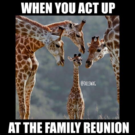 funny family reunion memes