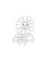 Flower Coloring Daisy Angry Pot sketch template