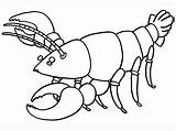 Lobster Coloring Pages Cartoon Colouring Printable Results sketch template