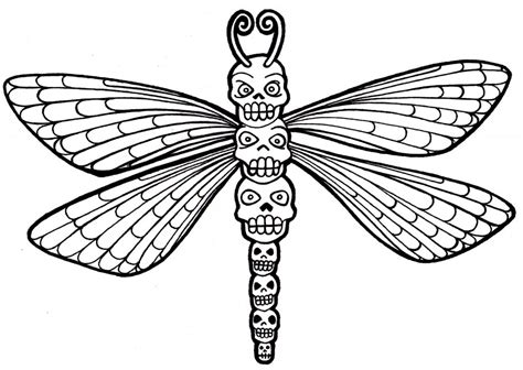dragonfly coloring page images animal place