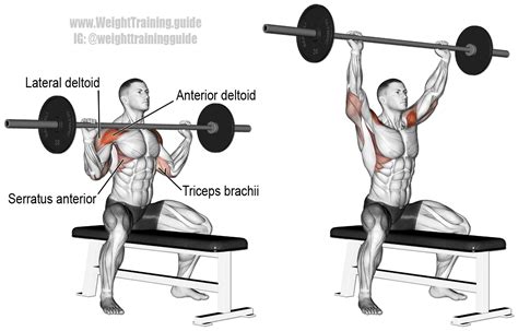 seated barbell overhead press guide  video weight training guide