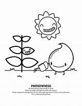 Coloring Photosynthesis Pages Energy Solar Drawing Record Kids System Pdf Bridge Brooklyn Color Sheets Getcolorings Need Getdrawings Printable Dj Speakers sketch template