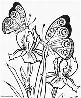 Coloring Butterfly Pages Adults Printable Butterflies Kids Color Detailed Adult Preschool Print Cool2bkids Life Book Cycle Colorings Getdrawings Getcolorings Drawing sketch template