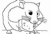 Pages Hamster Coloring Realistic Getcolorings sketch template