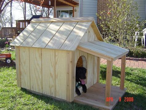 dog happy  build   insulated dog house   porch dog house