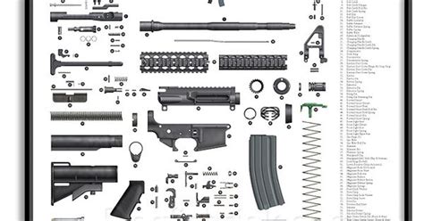 ar  exploded parts diagram brought    sportsmans outdoor superstore ar