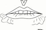Articulation Phonology Mouths sketch template