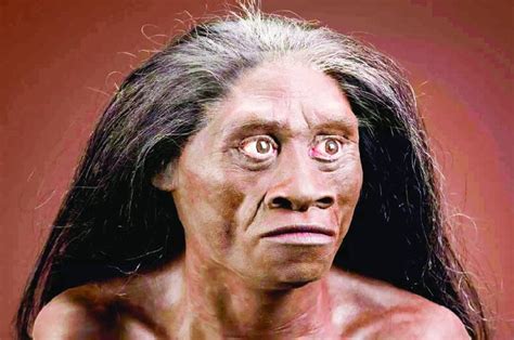 homo floresiensis tak tinggalkan jejak ilmu  teknologi koran