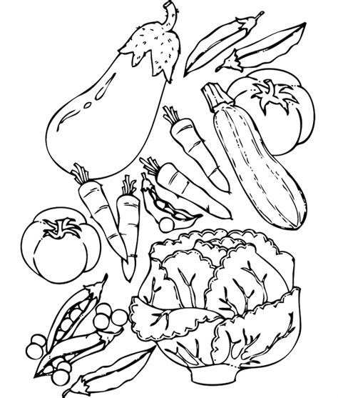 zucchini coloring pages  coloring pages  kids