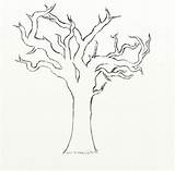 Tree Dead Draw Step Half Drawing Sketch Drawings Alive Coloring Plant Basic Branches Feltmagnet Paintingvalley Leaves Getdrawings Getcolorings Sketches Make sketch template