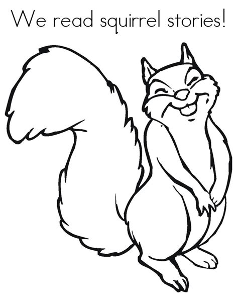 printable squirrel coloring pages  kids