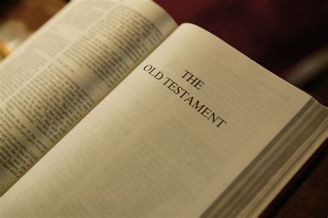 testament   testament    part   bible describing