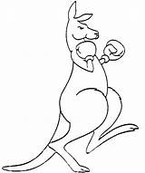 Kangaroo Drawing Boxing Easy Cartoon Outline Logo Pages Draw Flag Clipart Gloves Tattoo Guantes Simple Coloring Kangaroos Colouring Color Google sketch template