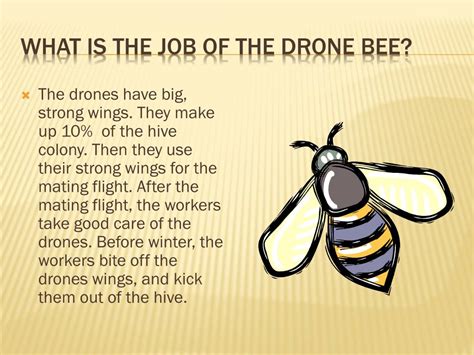 honey bees powerpoint    id