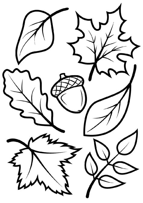 fall coloring pages  kids  adults  activity