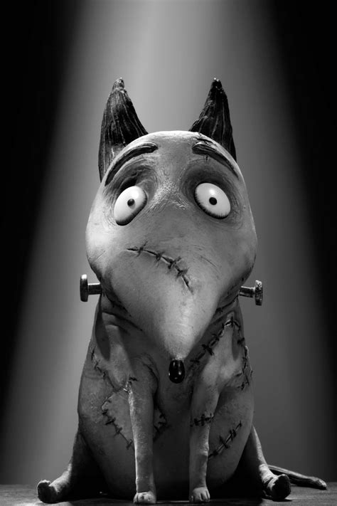 Tim Burton’s Frankenweenie A Fun Homage To Creepy Movies Past