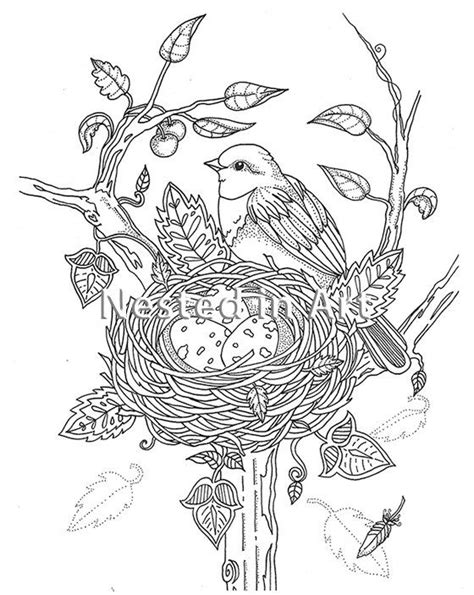 adult coloring page bird  birds nest original art digital
