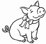 Porquinho Desenho Porcos Porquinhos Porco Crie Fato Pegue Ficam Coloridos Perfeitas Riscos sketch template
