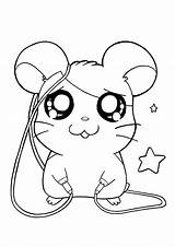 Hamtaro Kleurplaten Fofo Pompom Hamsters Hamster Picgifs Pintar Animaatjes Colorironline sketch template