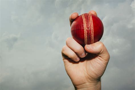 cricket ball royalty  stock photo