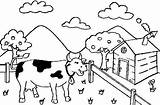 Vaca Fazenda Colorir sketch template