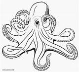 Octopus Coloring Pages Realistic Adult Drawing Printable Kids Cool2bkids Clipart Ocean Drawings Vector Sea Clip Illustrations Animals Queer Octopuses sketch template