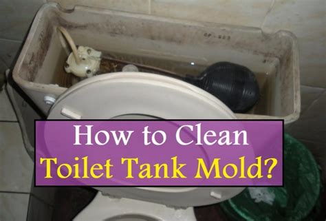 clean toilet tank sep   cleaning  tank