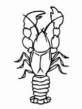 Crawfish Coloring Crawdad Pages Color Animals Printable Getcolorings Sheet Template Crustacean sketch template