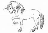 Einhorn Ausmalen Ausmalbilder Malvorlagen Einhörner Erwachsene Kopf Pferd Auswählen Hörner sketch template