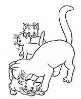 Cat Coloring Kitten Licking Her Mother Head Print Button Through Grab Could Easy Also Size sketch template