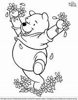 Coloring Pooh Winnie Pages Printable Library Flowers Print Coloringlibrary Fantastic Personal Own Create Collection Has Choose Board Cartoon Disney sketch template