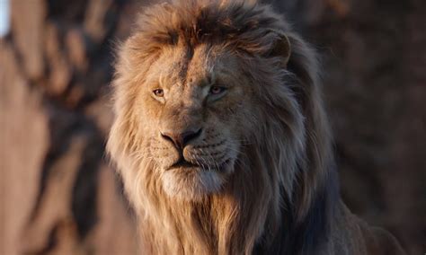 the lion king review disney s photorealistic remake is a disaster