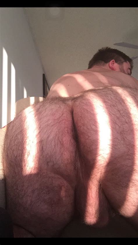 big ass gay hairy bears gay fetish xxx