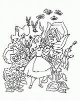 Coloring Wonderland Alice Pages Library Caterpillar sketch template