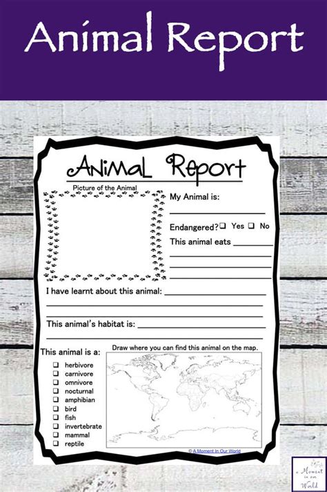 printable animal report animal report book report templates