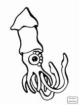 Squid Coloring Pages Animal Giant Minecraft Getcolorings Printable Color Print Getdrawings Colorings sketch template