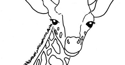 baby giraffe coloring page samantha bell
