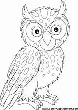 Owl Coloring Pages Colouring Pattern Patterns Printable раскраски Owls Bird Embroidery Uploaded User Vector совой Choose Board sketch template