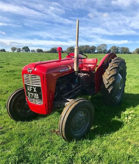 massey ferguson   tractor vintage sold  sherborne dorset gumtree