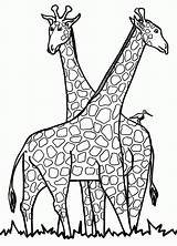 Giraffe Malvorlagen sketch template