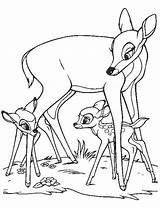 Biche Coloriage 1136 Coloriages Animaux sketch template