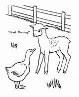 Lamb Coloring Pages Easter Baby Printable Goose Farm Animals Sheets Activity Lambs Comments Drawings sketch template