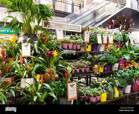 home depot store garden center display nyc stock photo  alamy