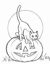 Coloring Kids Korner Cat Trick Treat Halloween Pages Dmg Enterprises Provided Network Oct sketch template