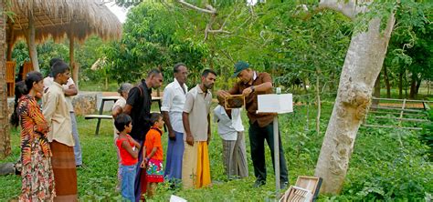 responsible rural village tours in sri lanka authentic