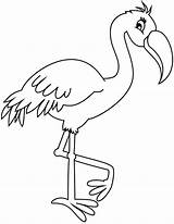 Flamingo Coloring Pages Printable Flamingos Drawing Inspired Bird Search sketch template