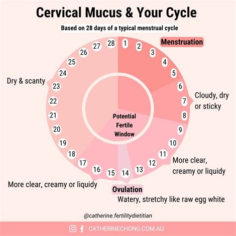ways  promote healthy cervical mucus pristine fertility