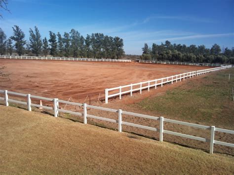 equestrian sand arena paddocks construction pela graca friesian stud farm douglas northern