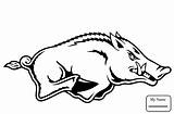 Razorback Arkansas Coloring Razorbacks Boar Printable Svg Pages Outline Drawing Logo Head  Ar Clip Wild Clipart Digital Stencil Pig sketch template