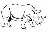 Rinoceronte Neushoorn Nashorn Rhino Nosorog Kleurplaat Pobarvanka Colorare Malvorlage Rhinoceros Pobarvanke Tekening Ausmalen Ausdrucken Dieren Tekenen Silhouette Dibujos Ausmalbild Schulbilder sketch template